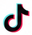 TikTok Ads